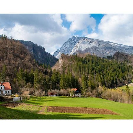 Turisticna Kmetija Stoglej Villa Luče Buitenkant foto