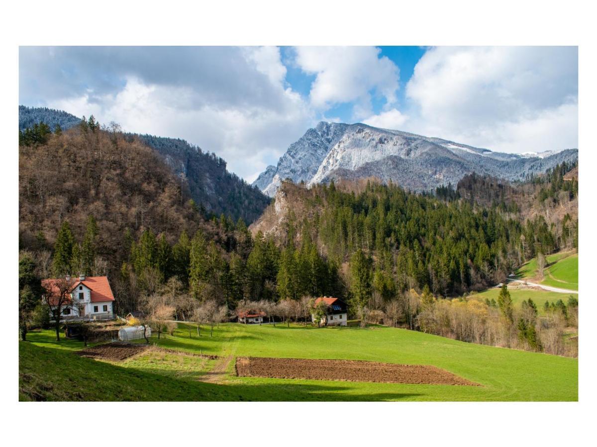 Turisticna Kmetija Stoglej Villa Luče Buitenkant foto