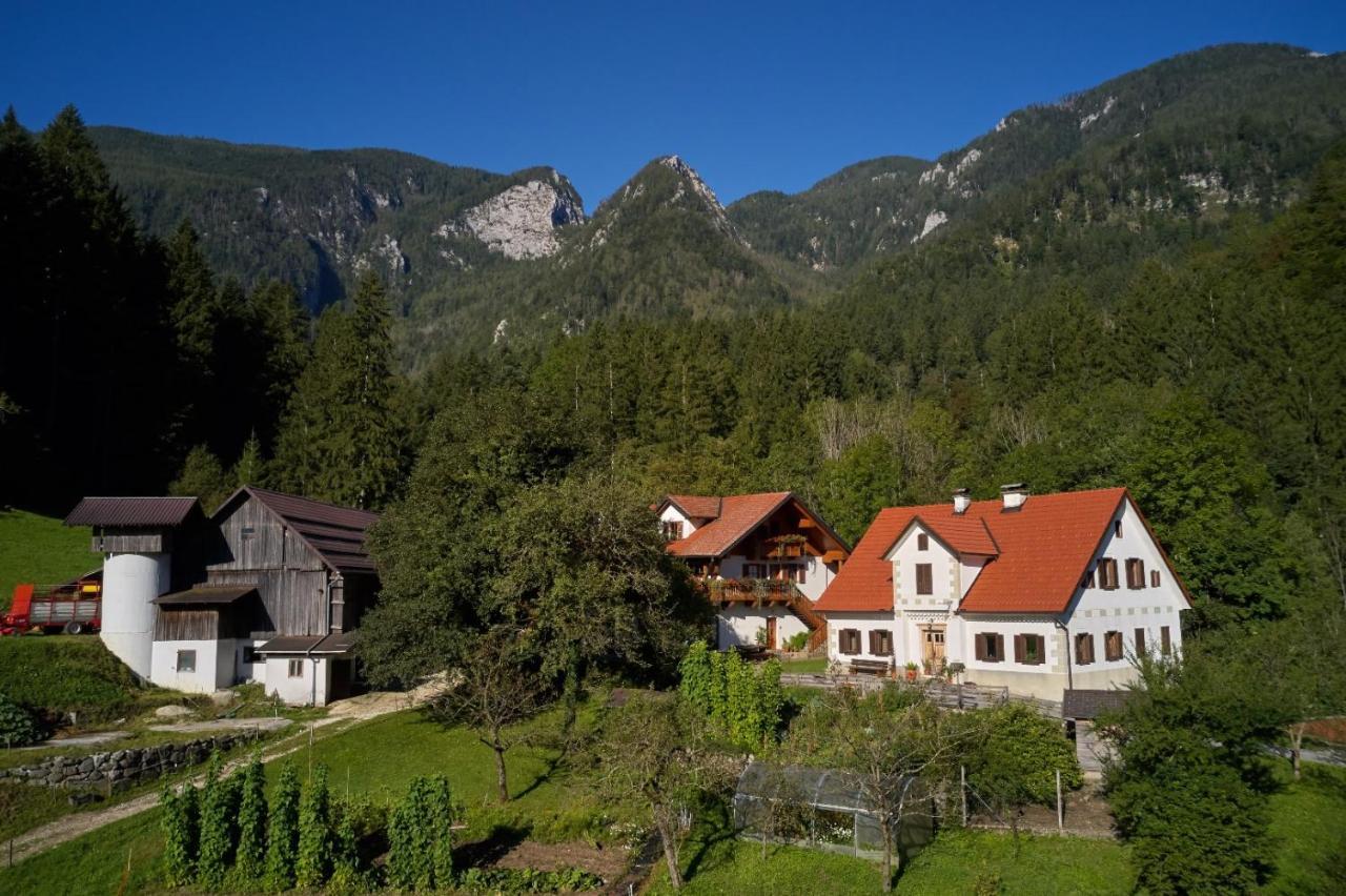 Turisticna Kmetija Stoglej Villa Luče Buitenkant foto