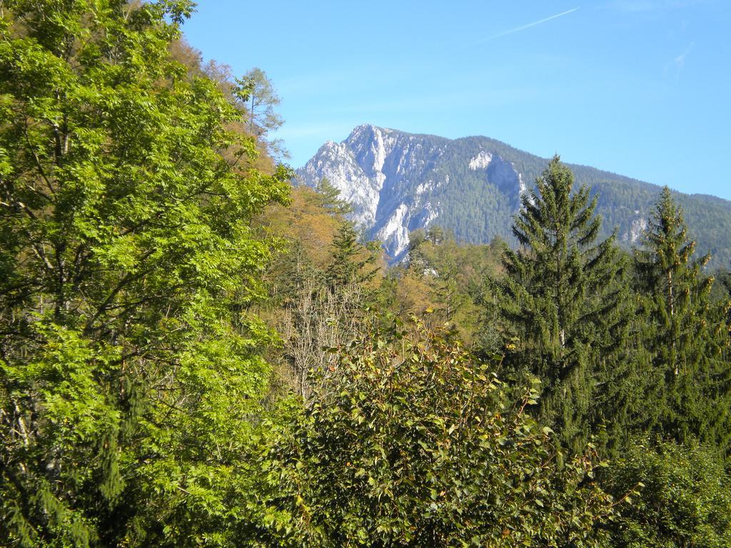 Turisticna Kmetija Stoglej Villa Luče Buitenkant foto