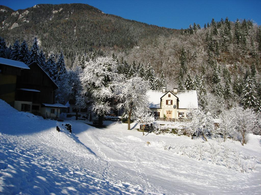 Turisticna Kmetija Stoglej Villa Luče Buitenkant foto