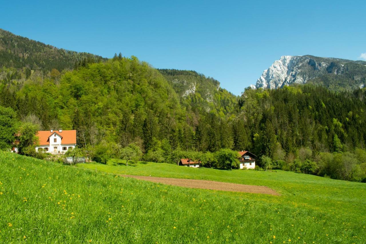 Turisticna Kmetija Stoglej Villa Luče Buitenkant foto