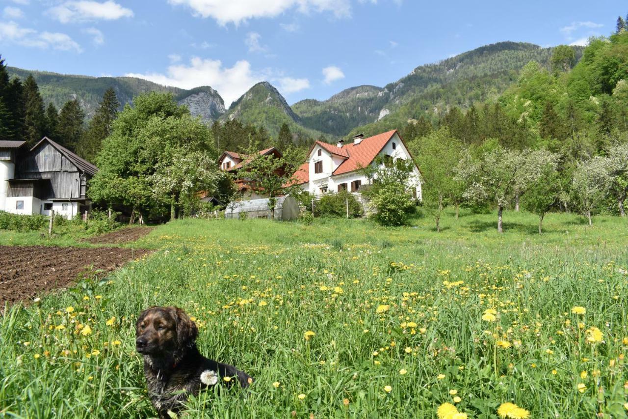 Turisticna Kmetija Stoglej Villa Luče Buitenkant foto